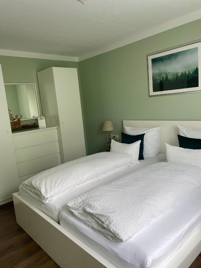 Blackforest Apartment Freudenstadt Kültér fotó
